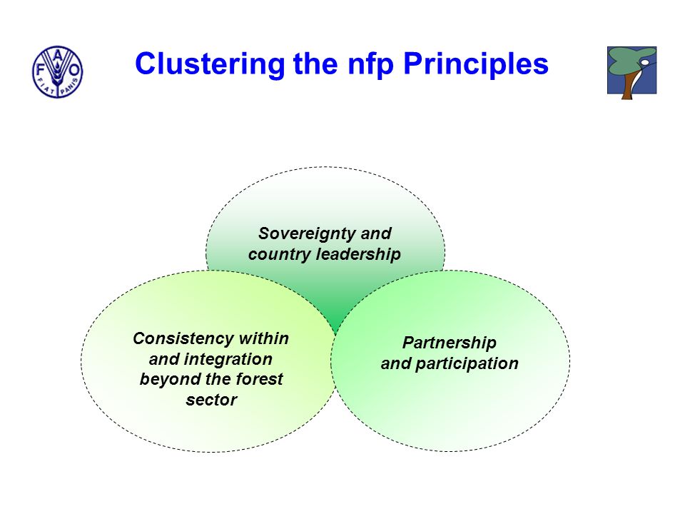 Sovereignty and country leadership Consistency within and integration beyond the forest sector Partnership and participation Clustering the nfp Principles