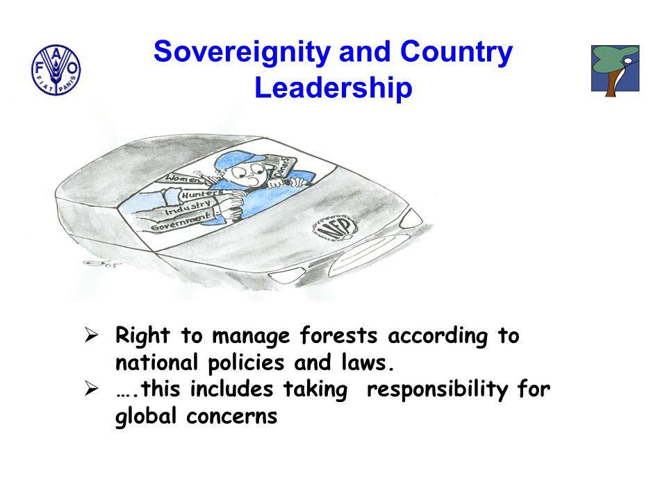 Sovereignity and Country Leadership  Right to manage forests according to national policies and laws.
