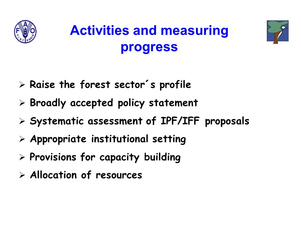  Raise the forest sector´s profile  Broadly accepted policy statement  Systematic assessment of IPF/IFF proposals  Appropriate institutional setting  Provisions for capacity building  Allocation of resources Activities and measuring progress