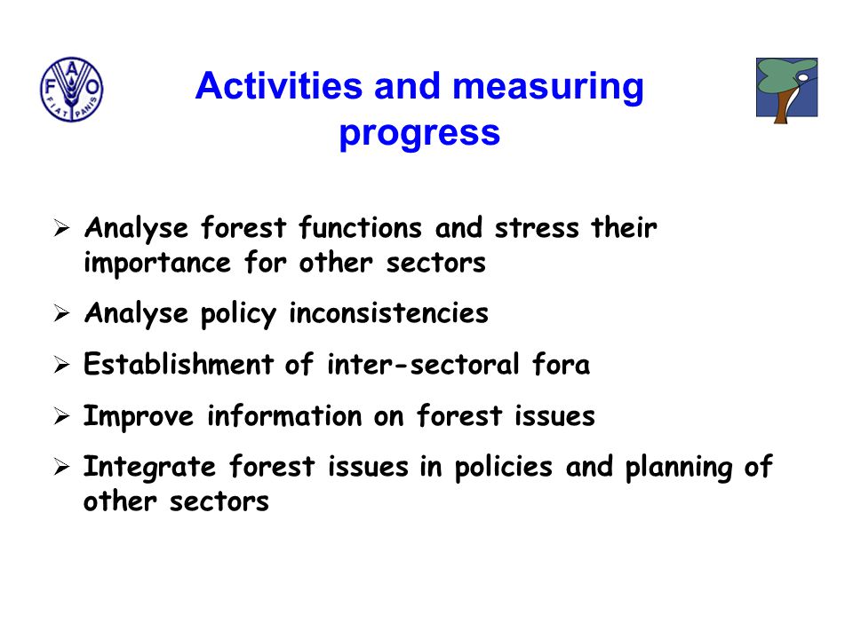  Analyse forest functions and stress their importance for other sectors  Analyse policy inconsistencies  Establishment of inter-sectoral fora  Improve information on forest issues  Integrate forest issues in policies and planning of other sectors Activities and measuring progress