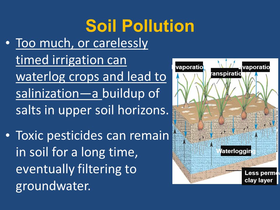 Soil Pollution By Pesticides Pdf