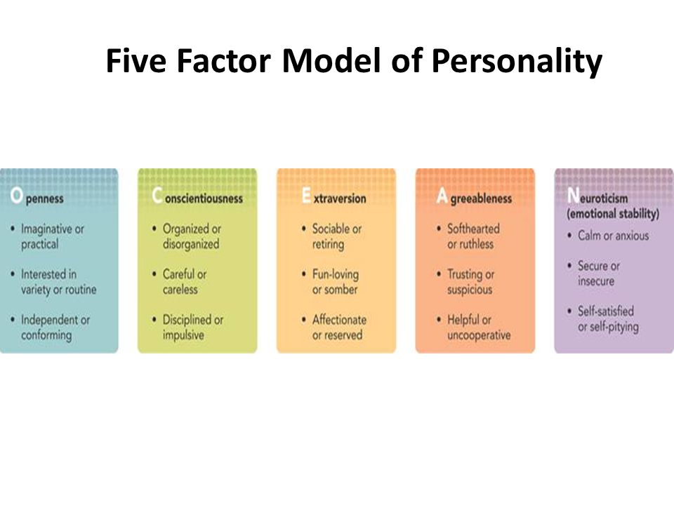 big five personality traits essay big five personality traits essay