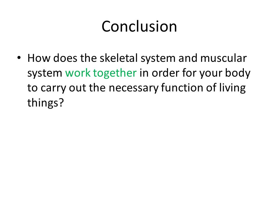 skeletal system essay example View and download human skeleton essays examples also discover topics, titles, outlines, thesis statements, and conclusions for your human skeleton essay. skeletal system essay example View and download human skeleton essays examples also discover topics, titles, outlines, thesis statements, and conclusions for your human skeleton essay.