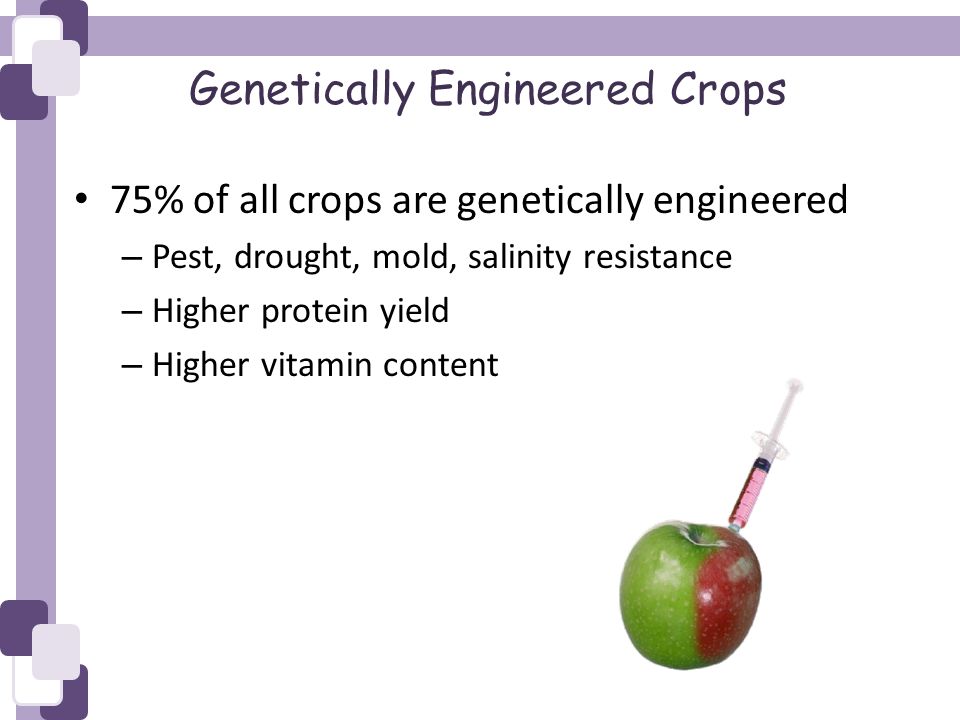 Genetically Engineered Crops 75% of all crops are genetically engineered – Pest, drought, mold, salinity resistance – Higher protein yield – Higher vitamin content