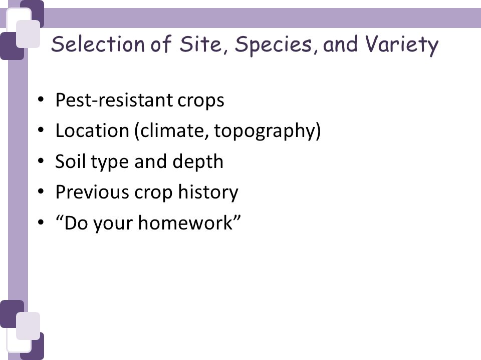 Selection of Site, Species, and Variety Pest-resistant crops Location (climate, topography) Soil type and depth Previous crop history Do your homework