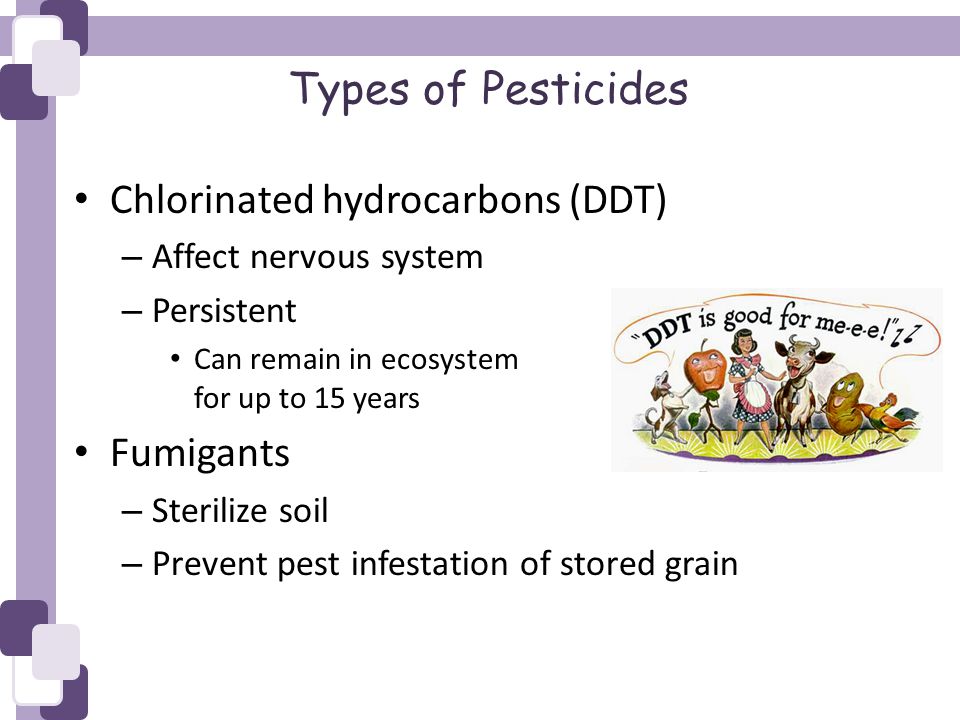 Types of Pesticides Chlorinated hydrocarbons (DDT) – Affect nervous system – Persistent Can remain in ecosystem for up to 15 years Fumigants – Sterilize soil – Prevent pest infestation of stored grain