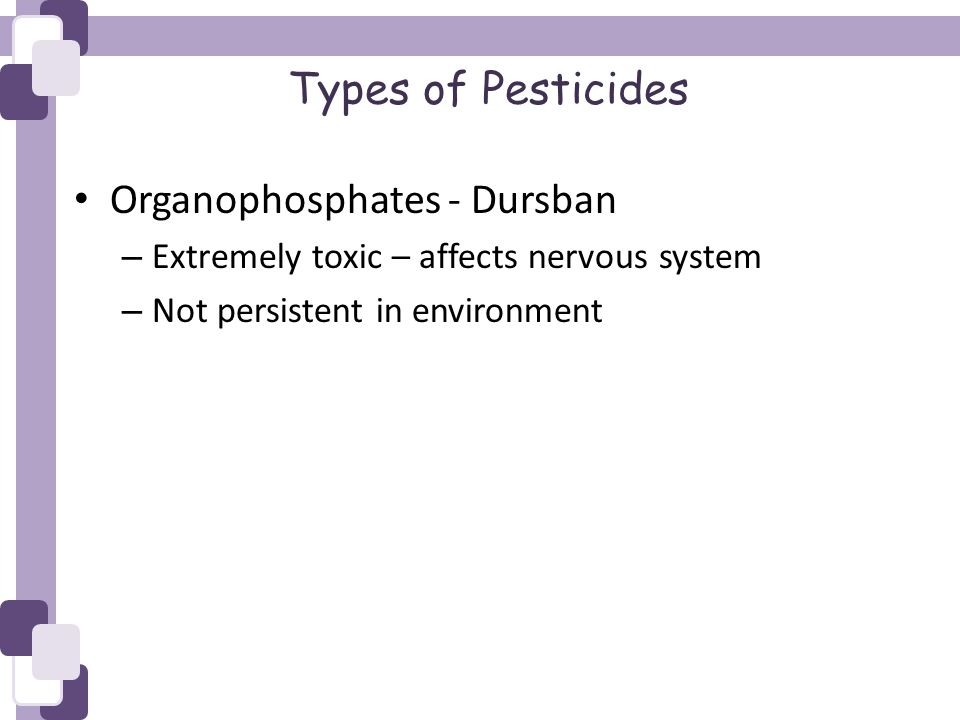 Types of Pesticides Organophosphates - Dursban – Extremely toxic – affects nervous system – Not persistent in environment