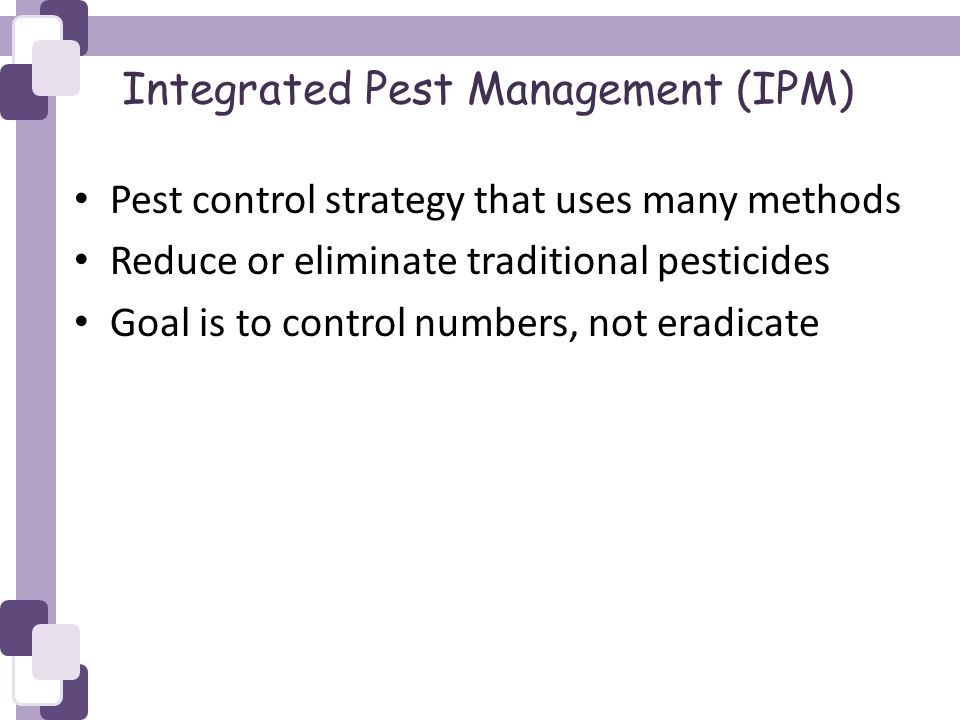 Integrated Pest Management (IPM) Pest control strategy that uses many methods Reduce or eliminate traditional pesticides Goal is to control numbers, not eradicate