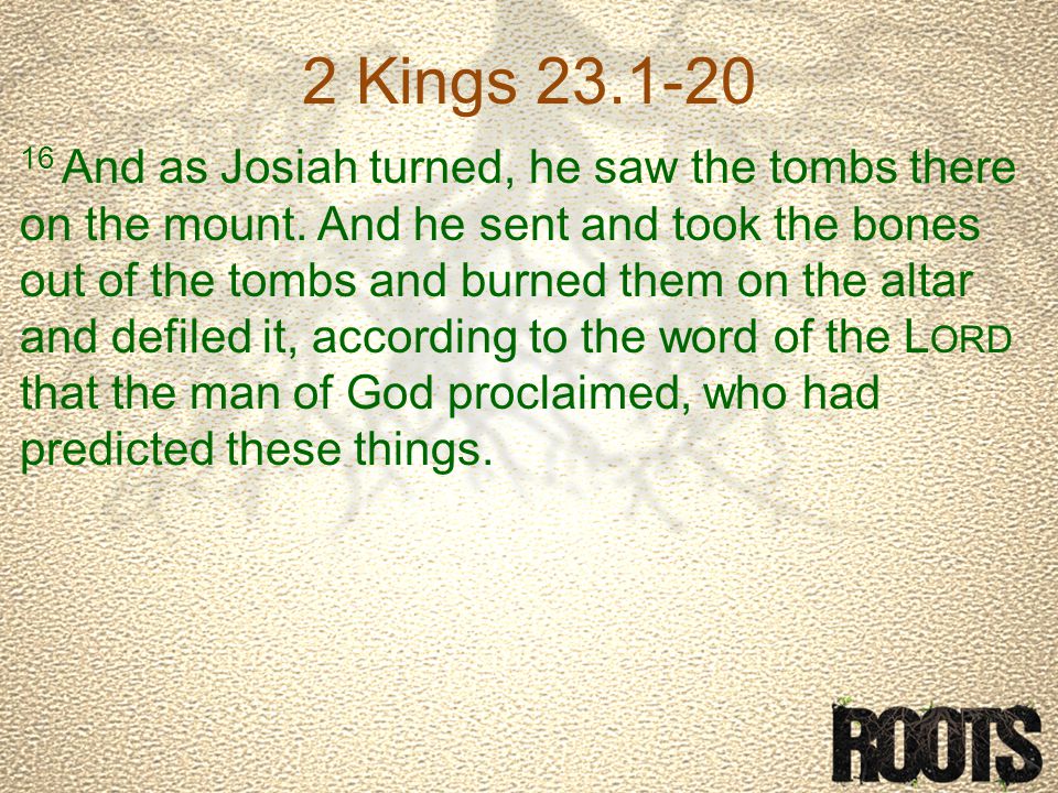 2 Kings And as Josiah turned, he saw the tombs there on the mount.