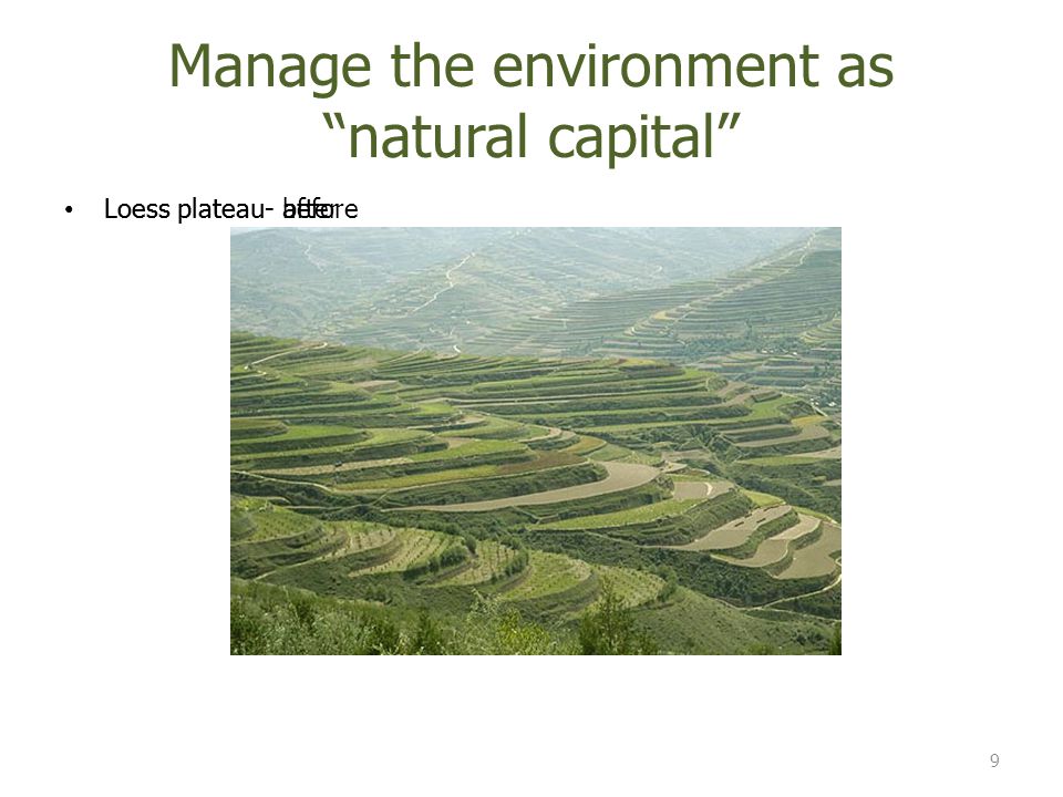 Loess plateau- before Loess plateau- after 9 Manage the environment as natural capital