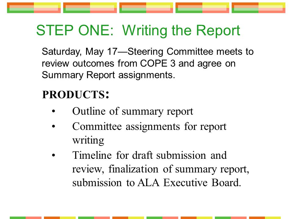STEP ONE: Writing the Report Saturday, May 17—Steering Committee meets to review outcomes from COPE 3 and agree on Summary Report assignments.