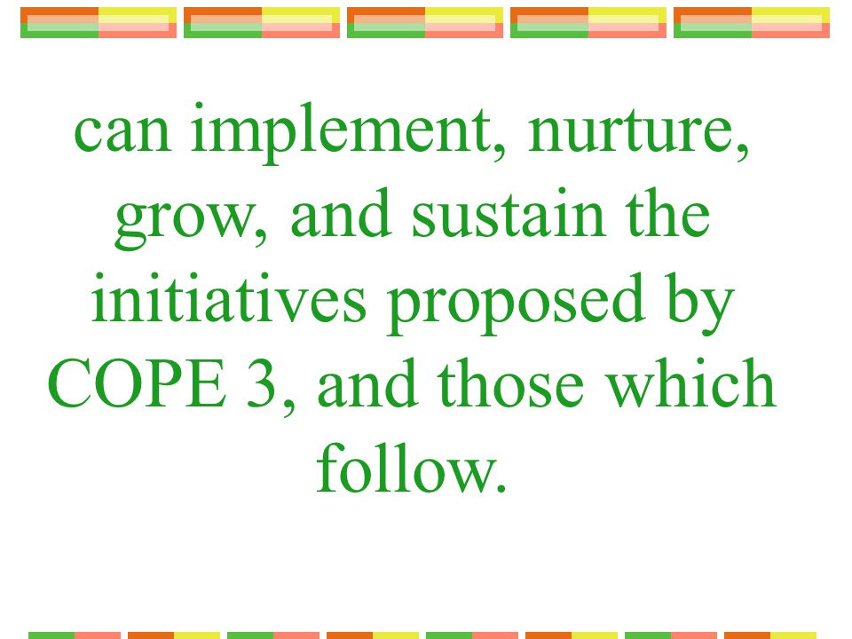 can implement, nurture, grow, and sustain the initiatives proposed by COPE 3, and those which follow.