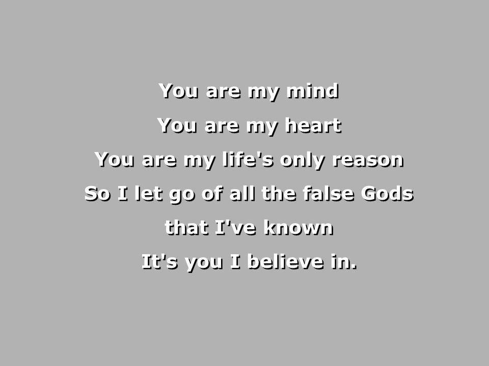 You are my mind You are my heart You are my life s only reason So I let go of all the false Gods that I ve known It s you I believe in.