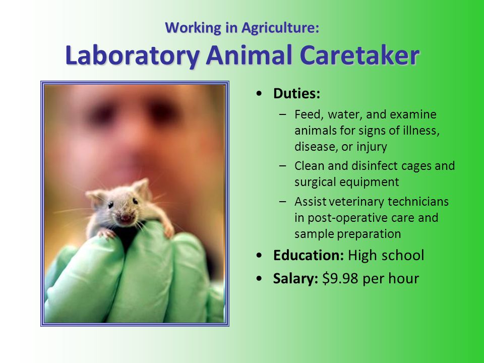 laboratory animal caretaker
