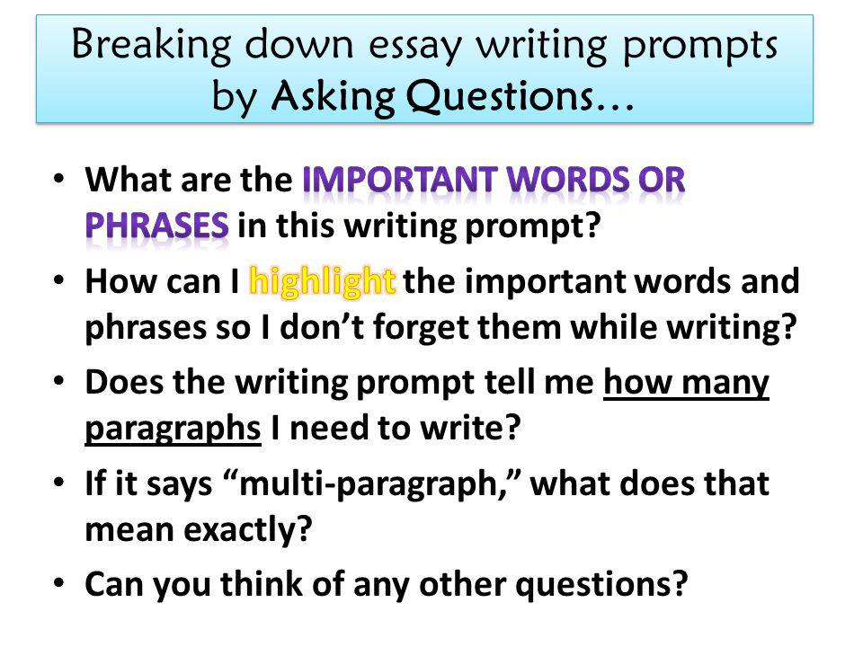 essay writing prompt