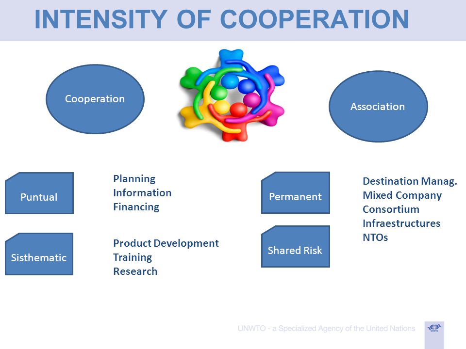 INTENSITY OF COOPERATION Cooperation Association Puntual Sisthematic Permanent Shared Risk Planning Information Financing Product Development Training Research Destination Manag.