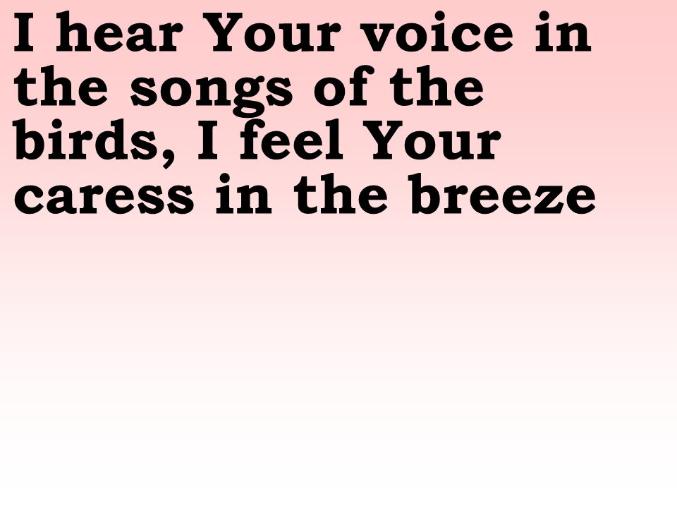 I hear Your voice in the songs of the birds, I feel Your caress in the breeze