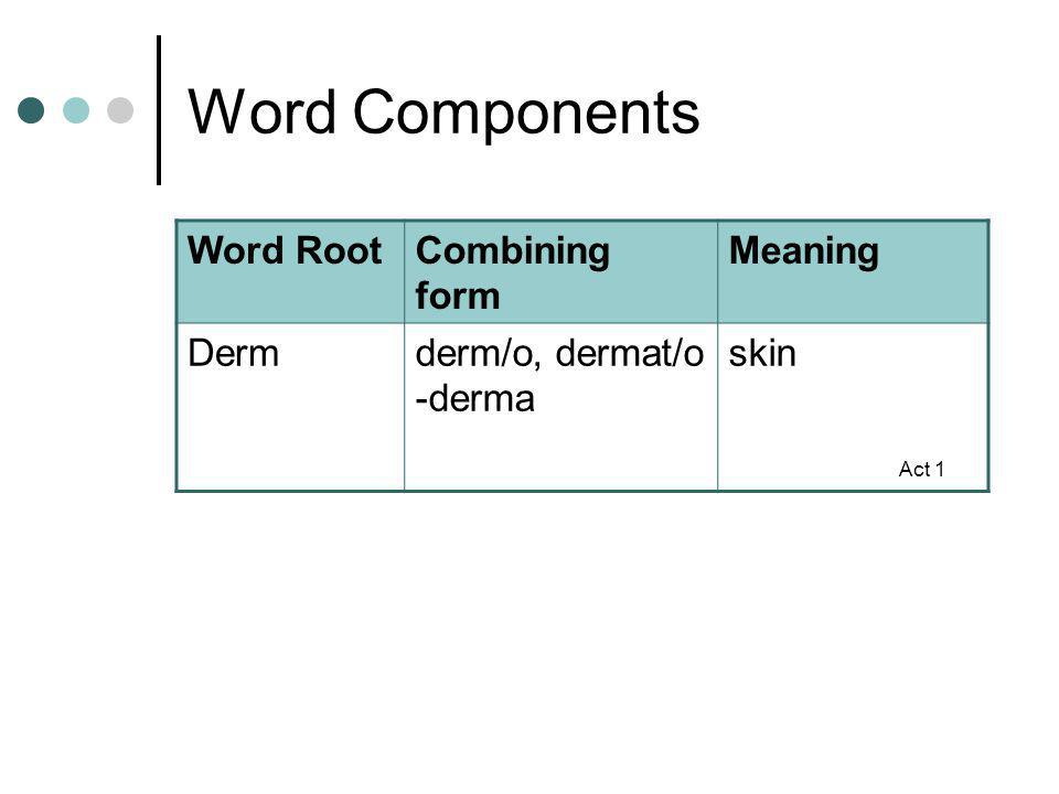 the skin functions of the skin protection from injury protection what is a combining form meaning skin
