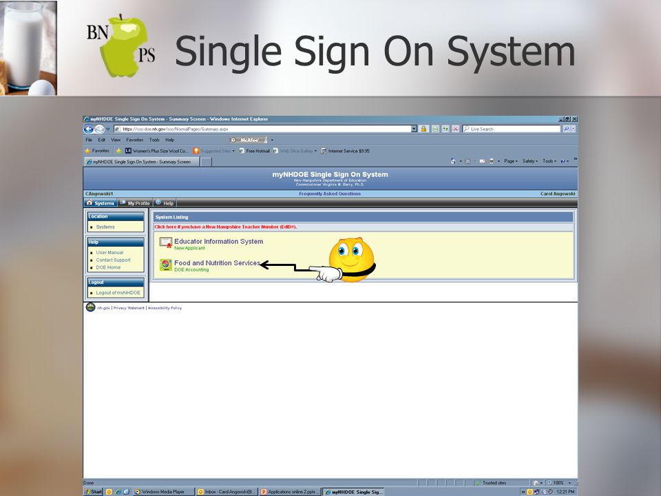 Single Sign On System