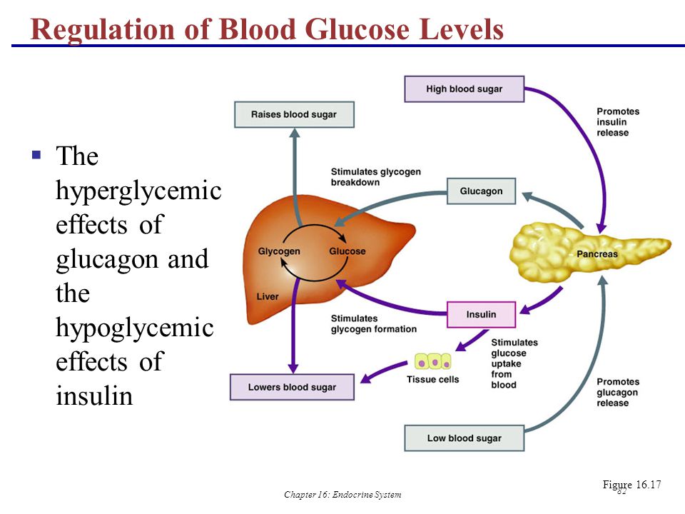 Normal blood sugar range for adults