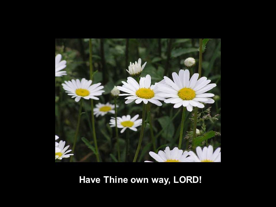 Have Thine own way, LORD!