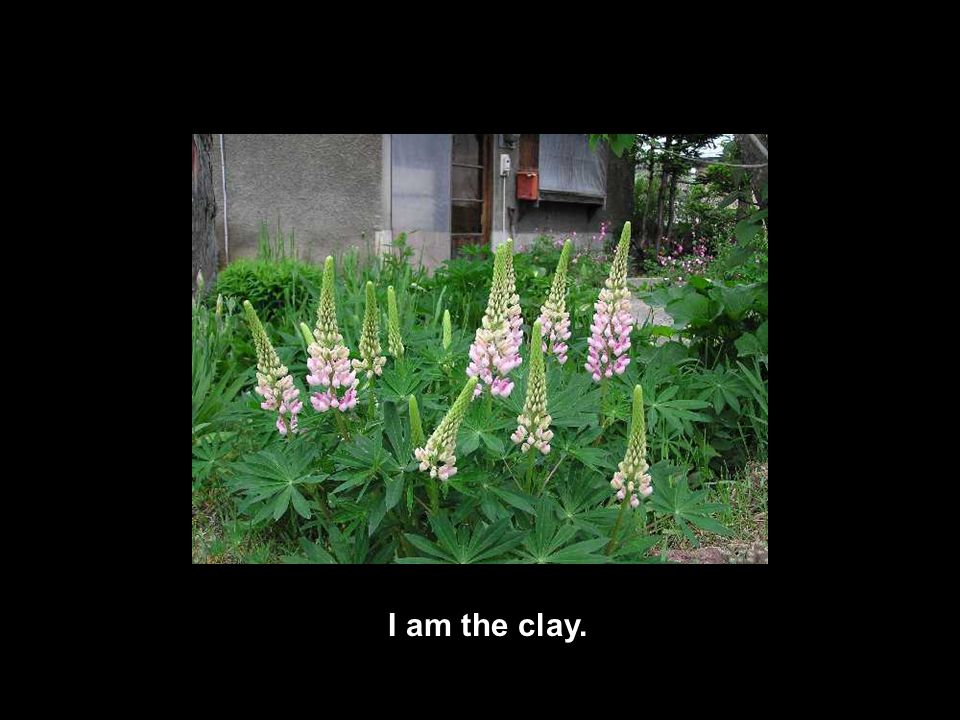 I am the clay.