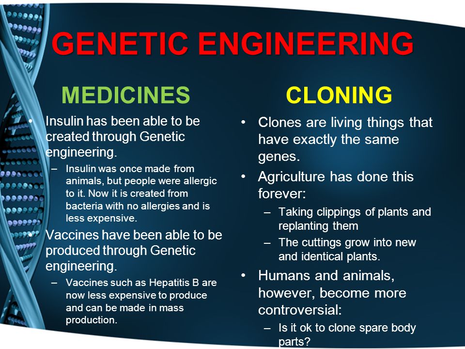 genetic engeneering essay genetic engeneering essay