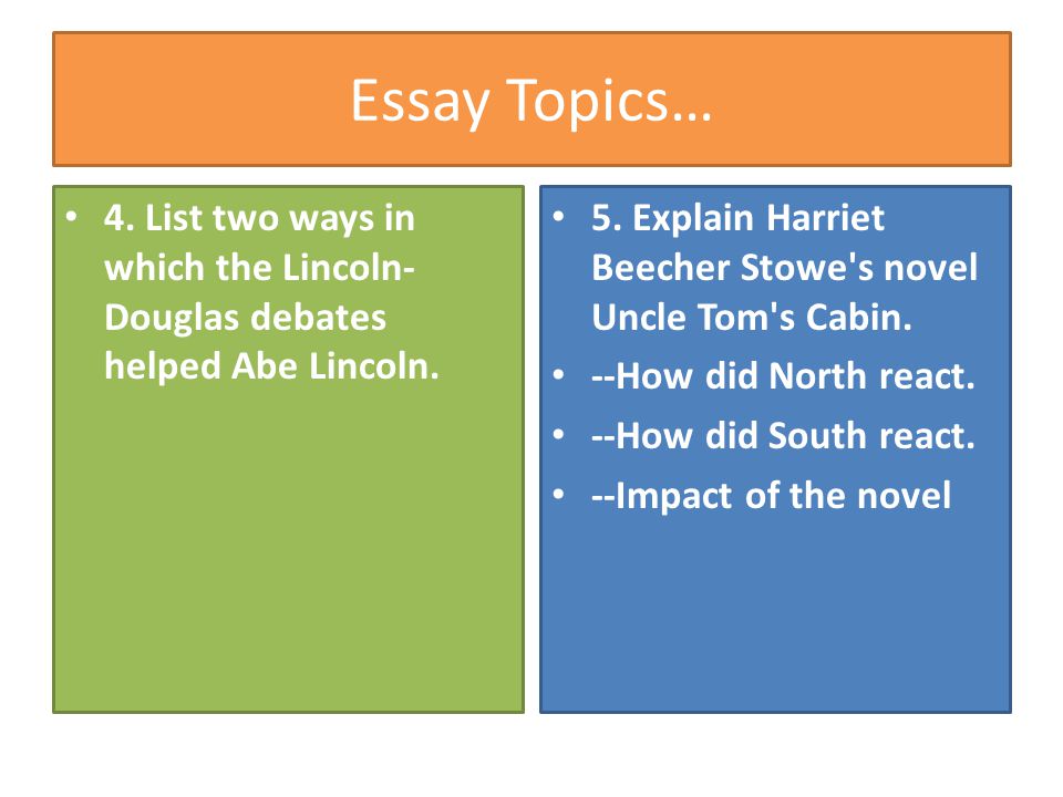 English Debate Essay