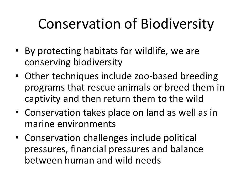 Conservation of Biodiversity By protecting habitats for wildlife, we are conserving biodiversity Other techniques include zoo-based breeding programs that rescue animals or breed them in captivity and then return them to the wild Conservation takes place on land as well as in marine environments Conservation challenges include political pressures, financial pressures and balance between human and wild needs