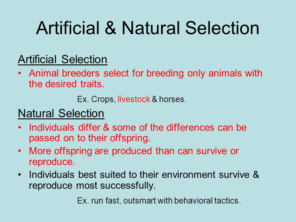 natural selection and phenotypic variation essay natural selection and phenotypic variation essay