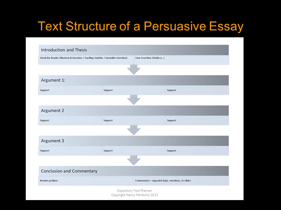 argumentative essay vs persuasive
