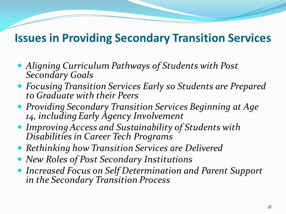 Issues in Providing Secondary Transition Services Aligning Curriculum Pathways of Students with Post Secondary Goals Focusing Transition Services Early so Students are Prepared to Graduate with their Peers Providing Secondary Transition Services Beginning at Age 14, including Early Agency Involvement Improving Access and Sustainability of Students with Disabilities in Career Tech Programs Rethinking how Transition Services are Delivered New Roles of Post Secondary Institutions Increased Focus on Self Determination and Parent Support in the Secondary Transition Process 18