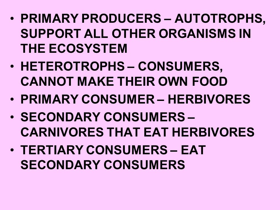 essay on biogeochemical cycle essay on biogeochemical cycle