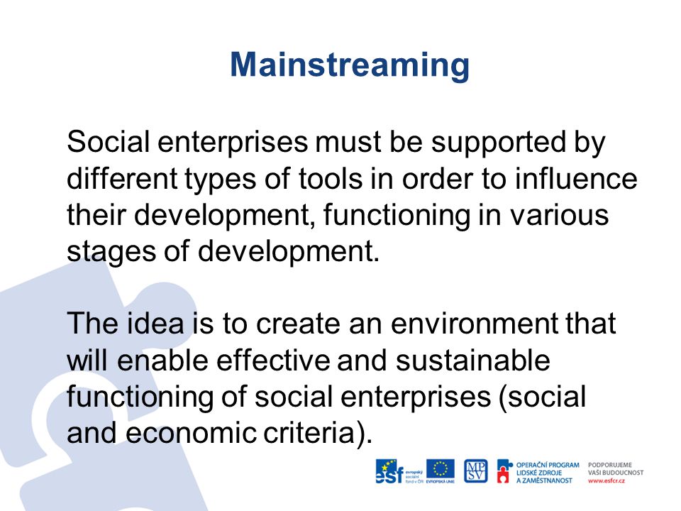 Mainstreaming Social enterprises must be supported by different types of tools in order to influence their development, functioning in various stages of development.