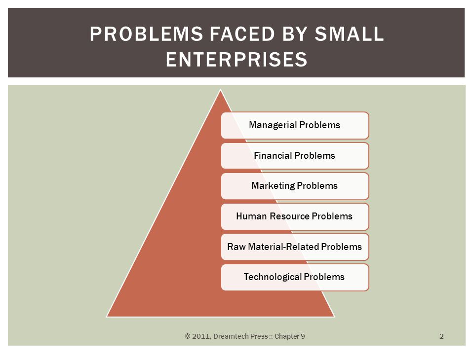 Managerial ProblemsFinancial ProblemsMarketing ProblemsHuman Resource ProblemsRaw Material-Related ProblemsTechnological Problems PROBLEMS FACED BY SMALL ENTERPRISES © 2011, Dreamtech Press :: Chapter 9 2