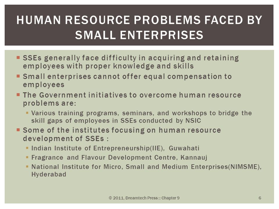  SSEs generally face difficulty in acquiring and retaining employees with proper knowledge and skills  Small enterprises cannot offer equal compensation to employees  The Government initiatives to overcome human resource problems are:  Various training programs, seminars, and workshops to bridge the skill gaps of employees in SSEs conducted by NSIC  Some of the institutes focusing on human resource development of SSEs :  Indian Institute of Entrepreneurship(IIE), Guwahati  Fragrance and Flavour Development Centre, Kannauj  National Institute for Micro, Small and Medium Enterprises(NIMSME), Hyderabad HUMAN RESOURCE PROBLEMS FACED BY SMALL ENTERPRISES © 2011, Dreamtech Press :: Chapter 9 6