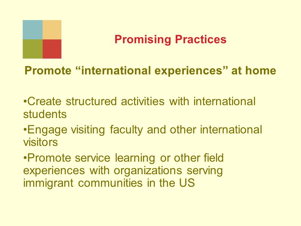 Promising Practices Promote international experiences at home Create structured activities with international students Engage visiting faculty and other international visitors Promote service learning or other field experiences with organizations serving immigrant communities in the US