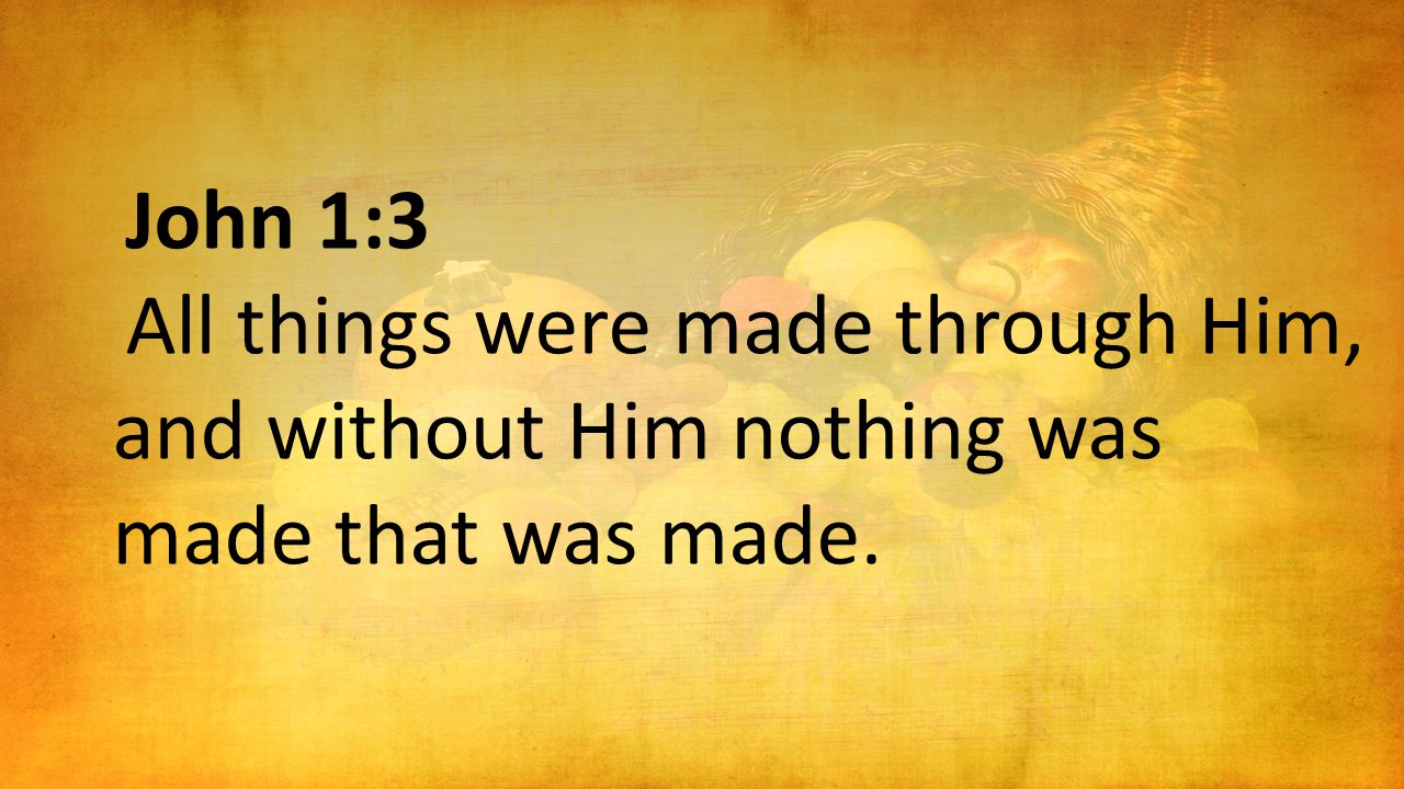 John 1:3 All things were made through Him, and without Him nothing was made that was made.