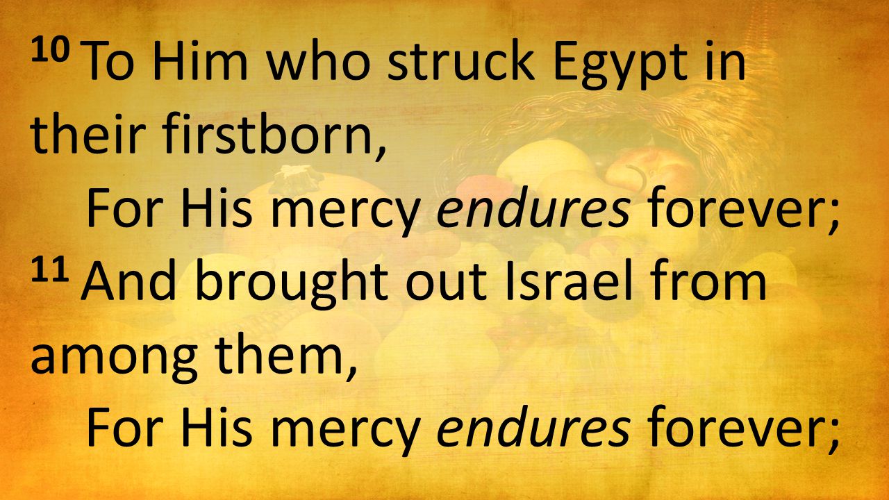 10 To Him who struck Egypt in their firstborn, For His mercy endures forever; 11 And brought out Israel from among them, For His mercy endures forever;