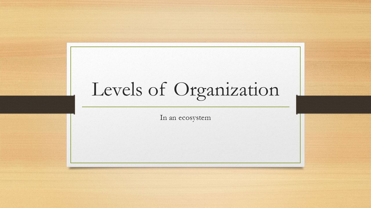 Levels of Organization In an ecosystem