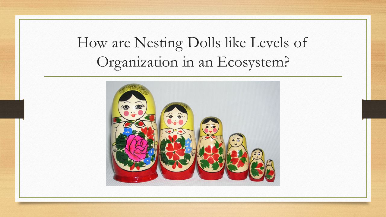 How are Nesting Dolls like Levels of Organization in an Ecosystem