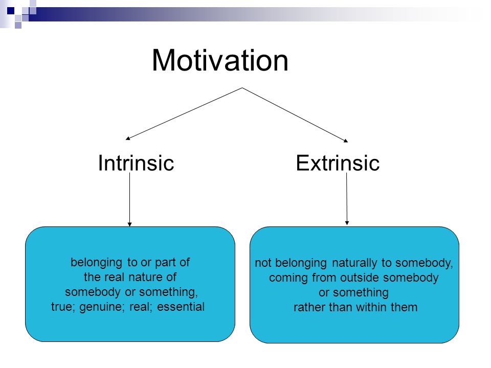 intrinsic motivation is ideal essay intrinsic motivation is ideal essay