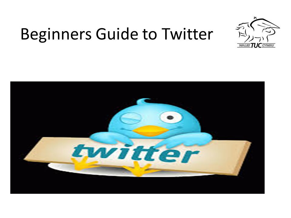 Beginners Guide to Twitter