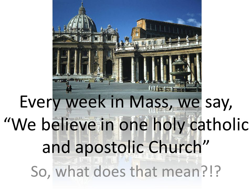 Every week in Mass, we say, We believe in one holy catholic and apostolic Church So, what does that mean !
