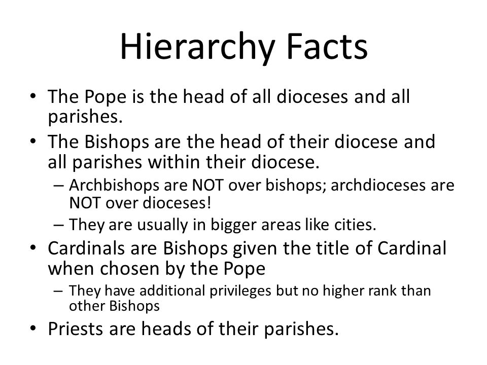 Hierarchy Facts The Pope is the head of all dioceses and all parishes.