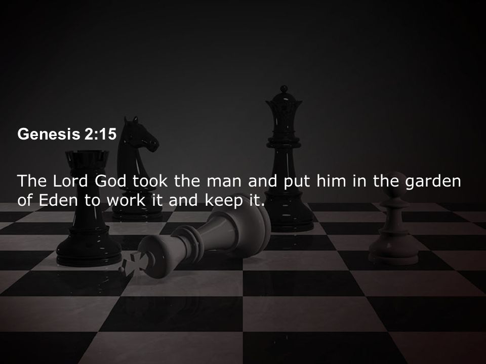 Genesis 2:15 The Lord God took the man and put him in the garden of Eden to work it and keep it.
