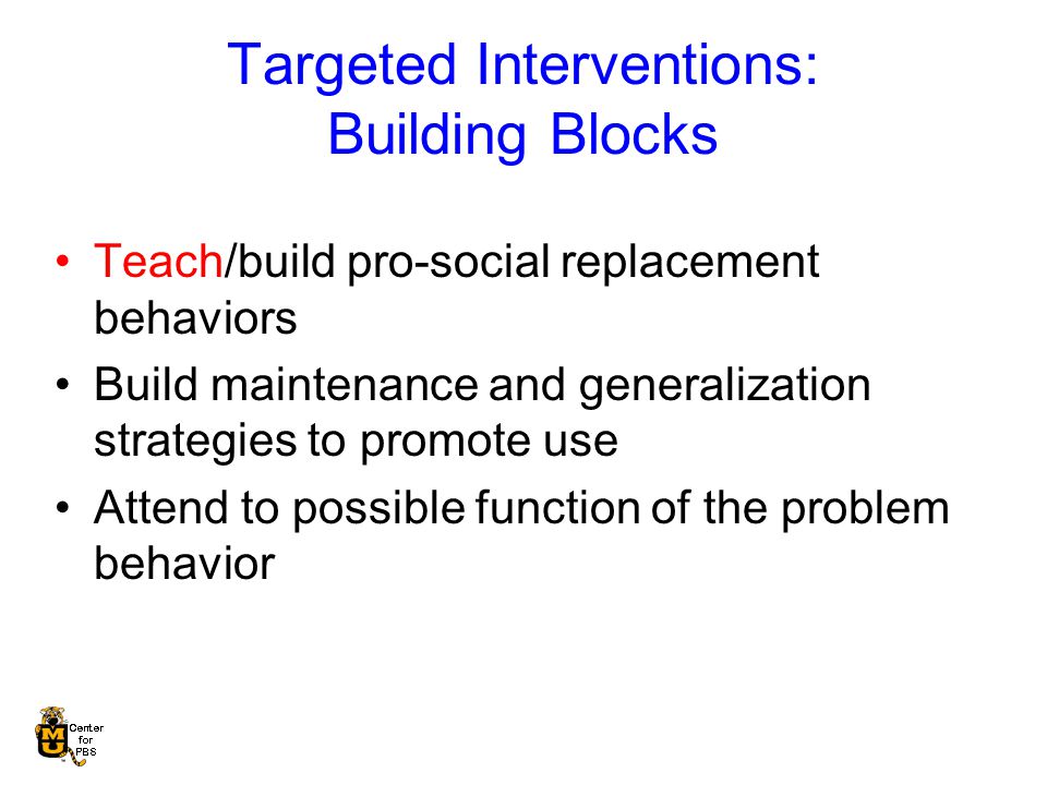 Targeted Interventions: Building Blocks Teach/build pro-social replacement behaviors Build maintenance and generalization strategies to promote use Attend to possible function of the problem behavior