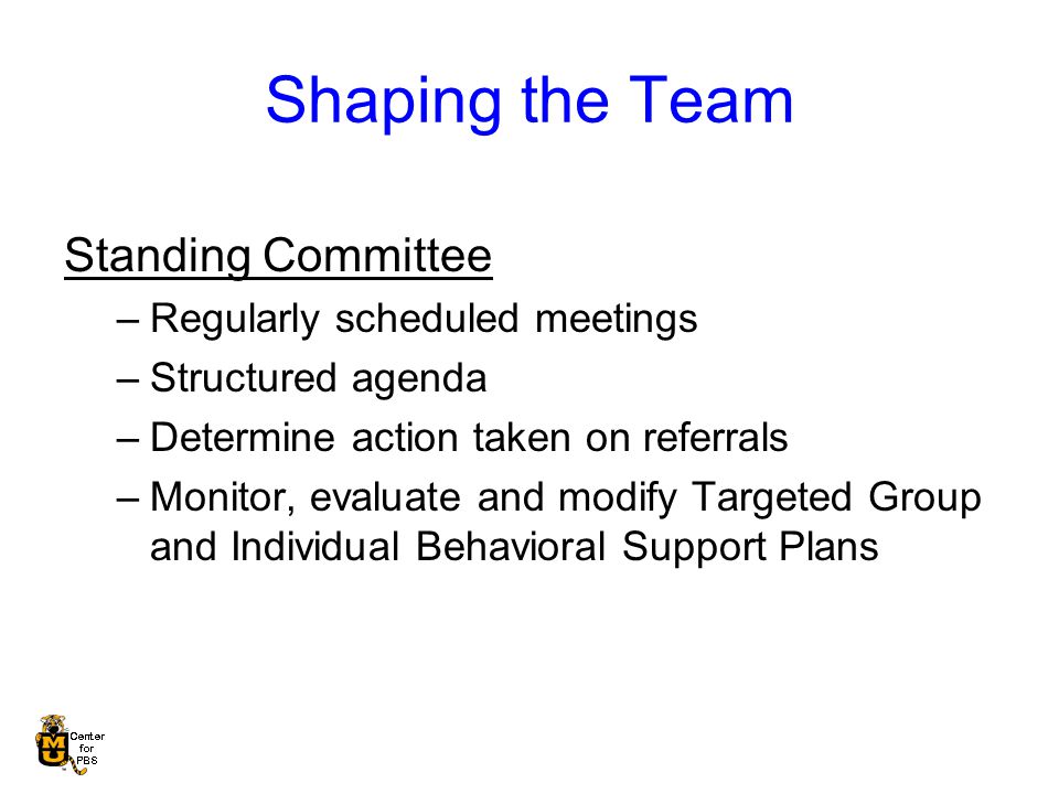 Shaping the Team Standing Committee –Regularly scheduled meetings –Structured agenda –Determine action taken on referrals –Monitor, evaluate and modify Targeted Group and Individual Behavioral Support Plans