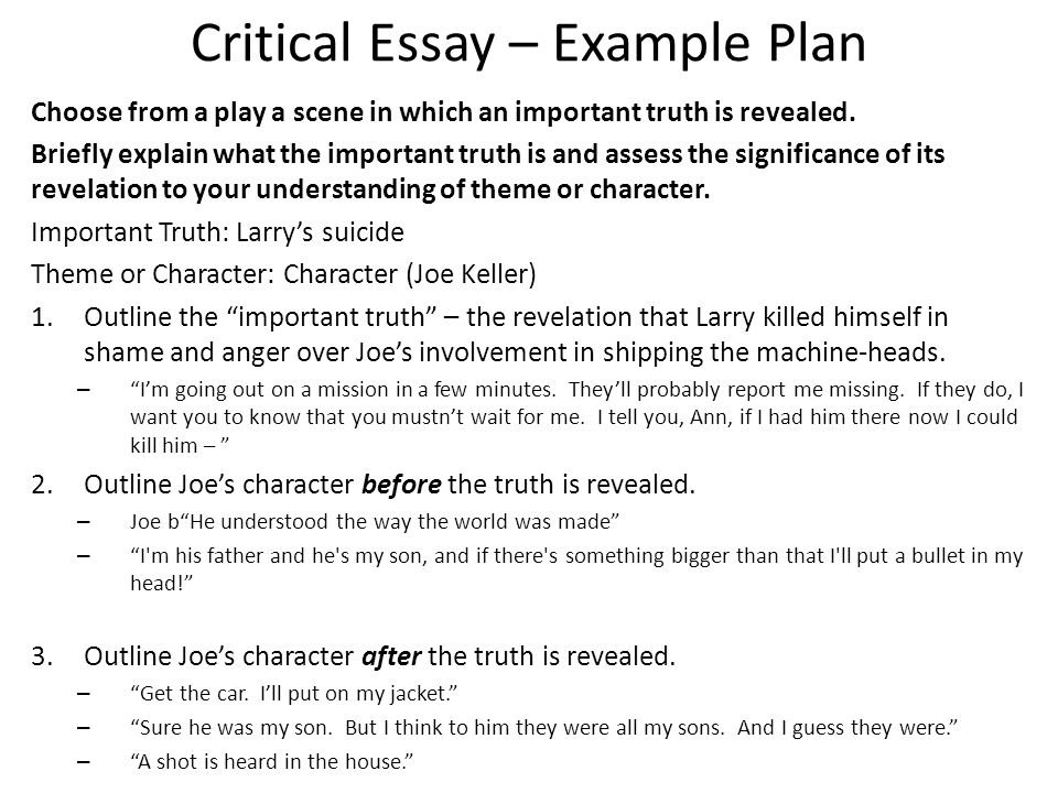 The Critical Analysis Essay: An Introduction & Topic