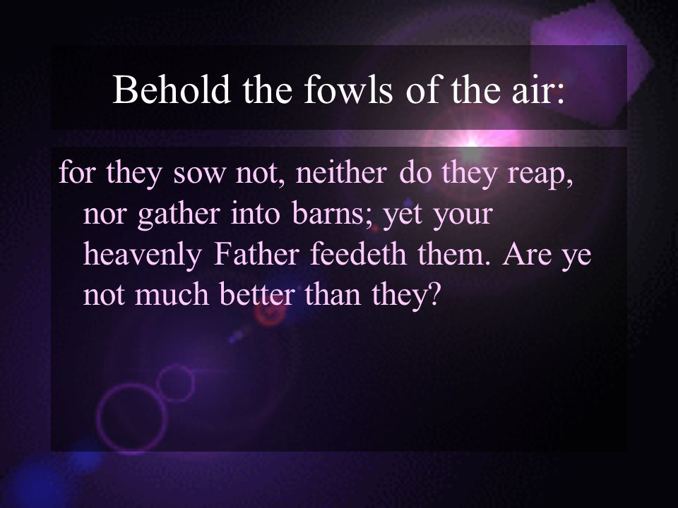 Behold the fowls of the air: for they sow not, neither do they reap, nor gather into barns; yet your heavenly Father feedeth them.